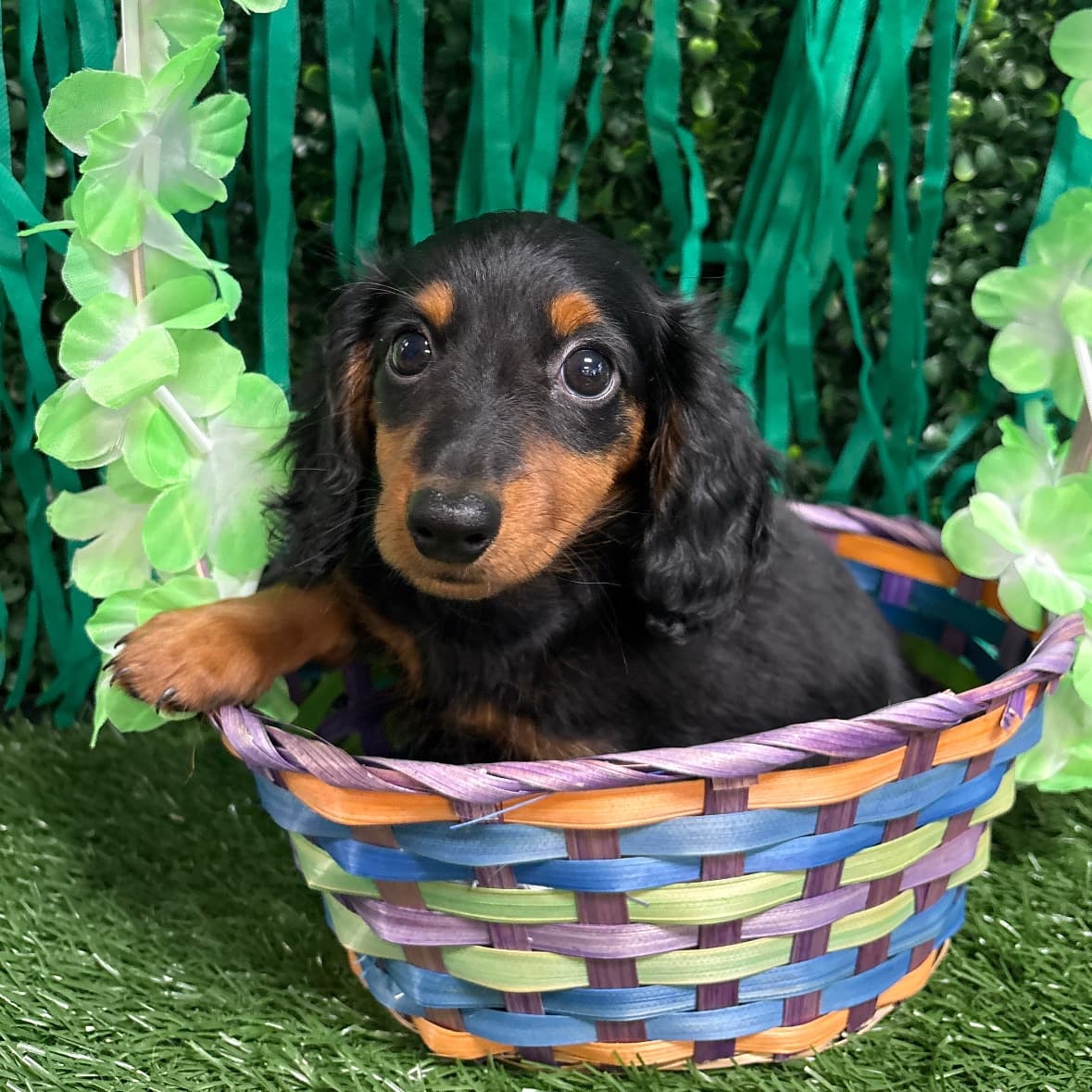 Winnie